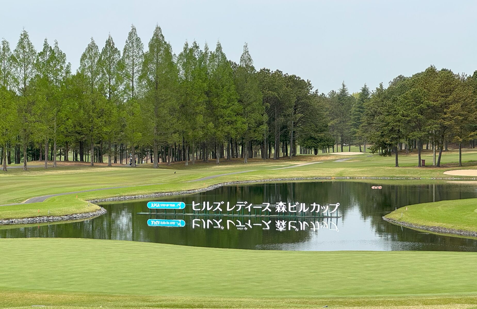 静ヒルズ
